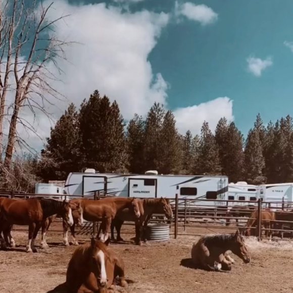 Meet your Posher, GG - Picture 5 of 11